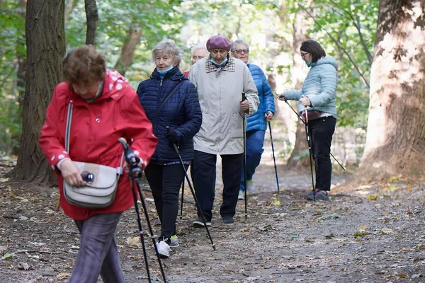 A group of older adults hiking together on a woodland trail