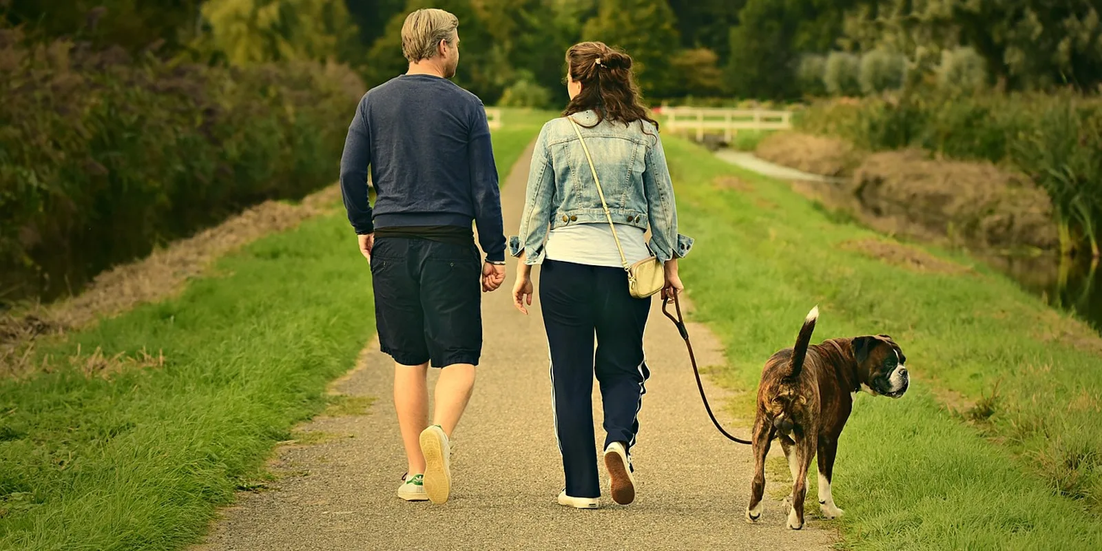 An older couple walking their dog along a sunny path